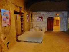 149 MUSEE DU CHAMPIGNON A  SAUMUR 2016 1_000043